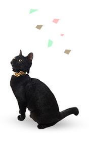 シンプリーキャットフード黒い猫